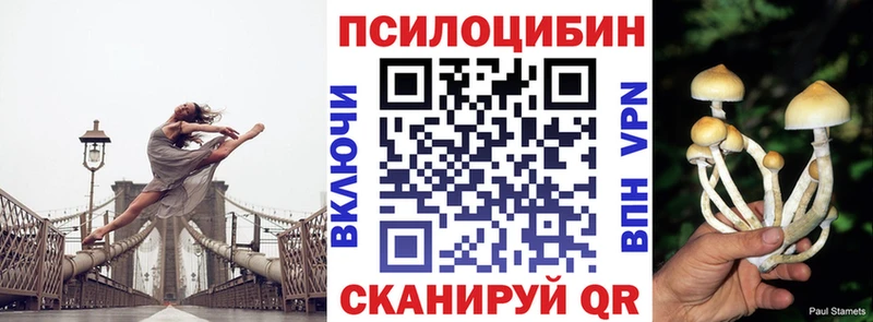 Галлюциногенные грибы GOLDEN TEACHER  Котельники 